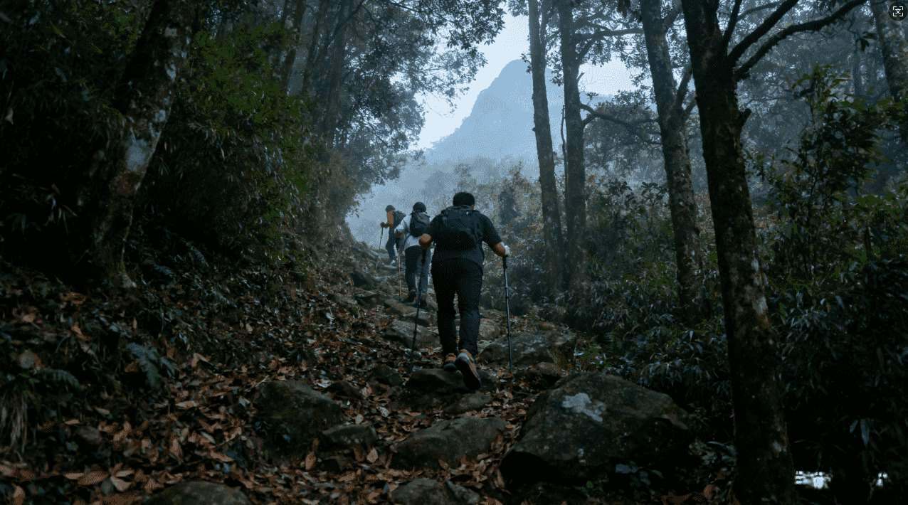 网络加速必备免费IO梯子加速器推荐大全